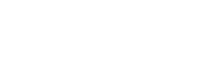 Consiglio Nazionale degli Ingegneri